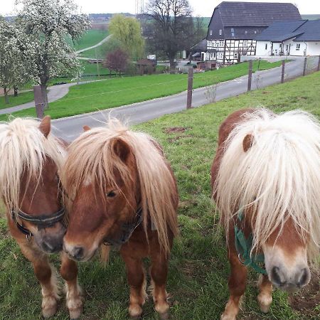 Ferienhof Papiermuehle Hofgeismar Bagian luar foto