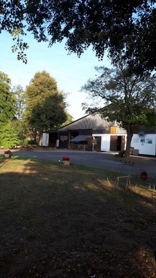 Ferienhof Papiermuehle Hofgeismar Bagian luar foto
