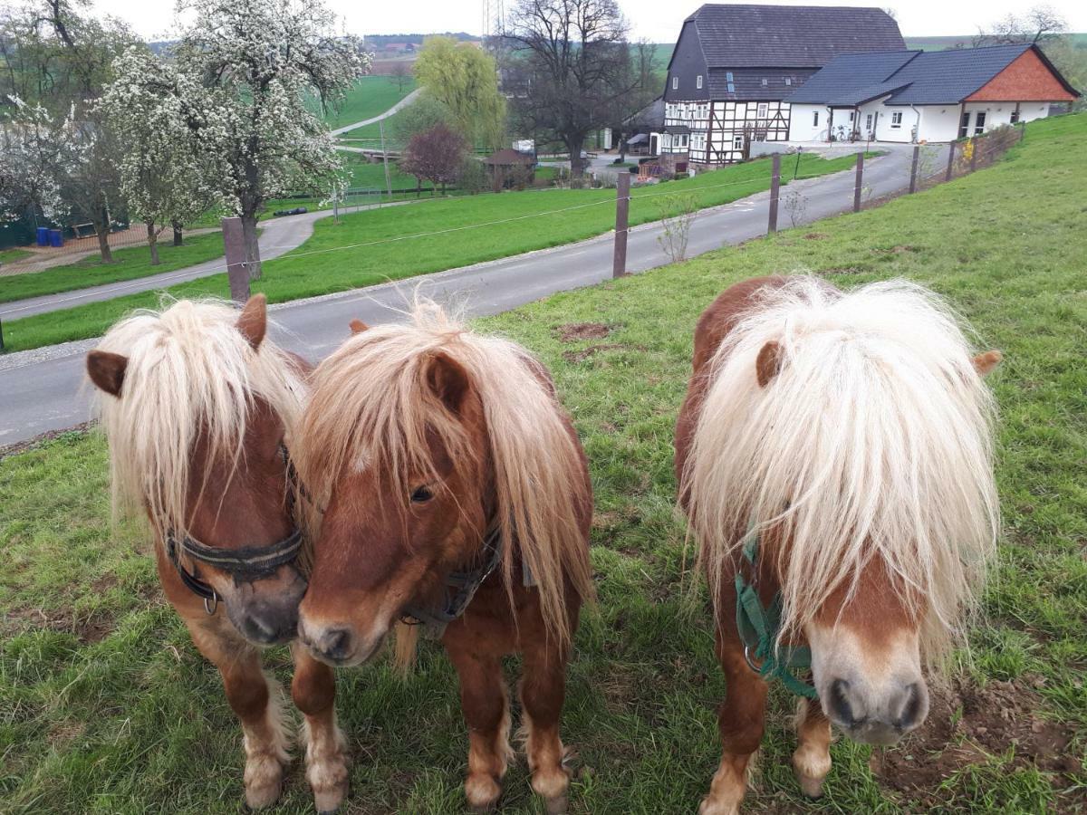 Ferienhof Papiermuehle Hofgeismar Bagian luar foto